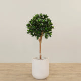 Artificial Sweet Link Topiary 120cm