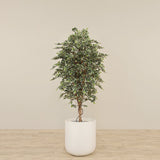 Artificial Mini Ficus Tree 180cm