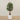 -Artificial Olive Tree 150cm-Bloomr