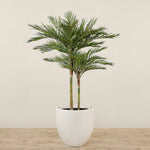 Trees-Artificial Phoenix Palm Tree <br> 210cm-Bloomr