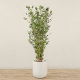 Artificial Bamboo Tree <br> 210cm