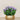 Floral Arrangement-Artificial Torenia Arrangement-Bloomr