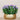 Floral Arrangement-Artificial Torenia Arrangement-Bloomr