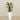 -Artificial Calathea Tree 75cm-Bloomr