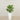 -Artificial Calathea Tree 70cm-Bloomr