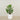 -Artificial Calathea Tree 90cm-Bloomr