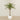-Artificial Phoenix Palm Tree 210cm-Bloomr