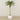 -Artificial Phoenix Palm 300cm-Bloomr