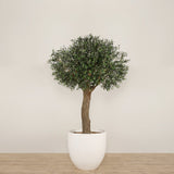 Artificial Olive Tree <br> 270cm