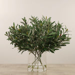 Floral Arrangement-Artificial Olive Arrangement in Glass Vase-Bloomr