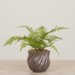 -Artificial Fern Arrangement in Ceramic Vase-Bloomr