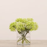 Allium Arrangement in Glass VaseBloomr