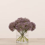 Allium Arrangement in Glass VaseBloomr