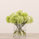 Allium Arrangement in Glass VaseBloomr