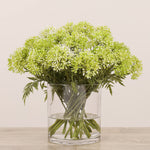 Allium Arrangement in Glass VaseBloomr