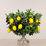 Artificial Lemon Teardrop Arrangement in Glass Vase