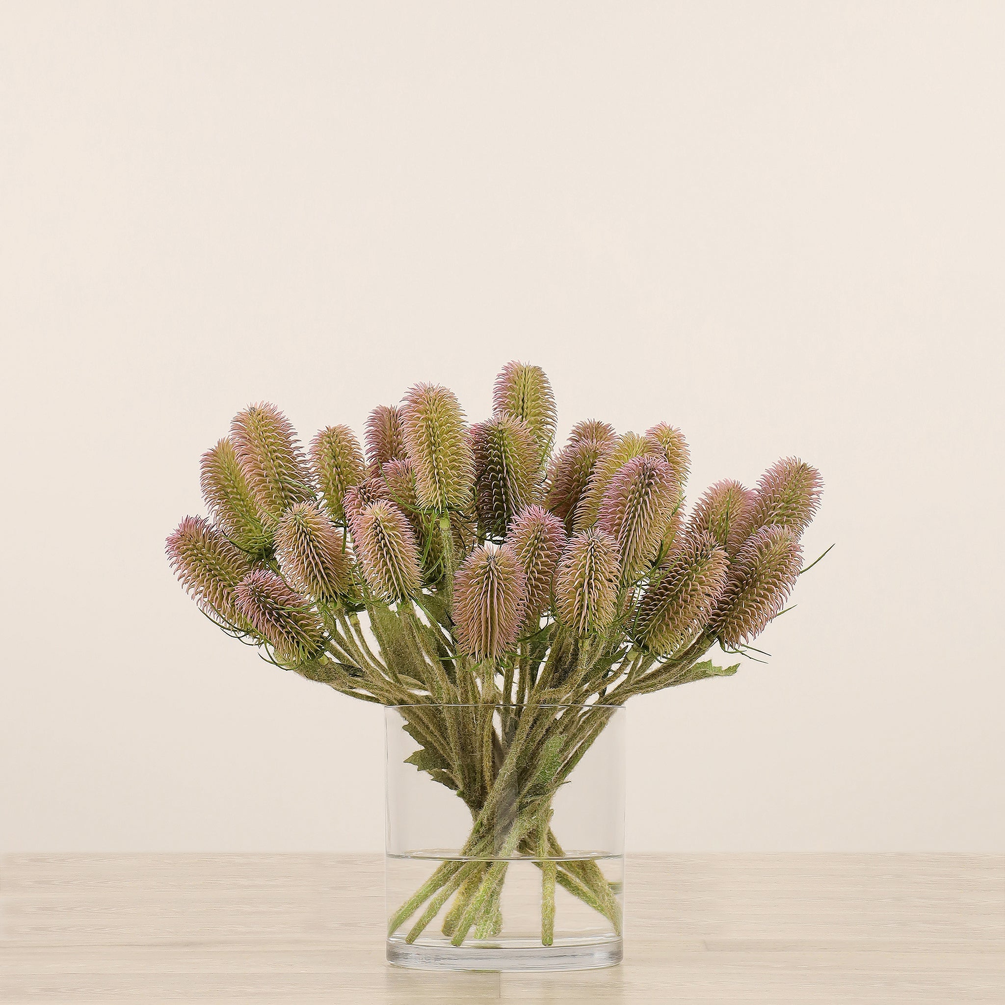 Dipsacus Arrangement in Glass Vase