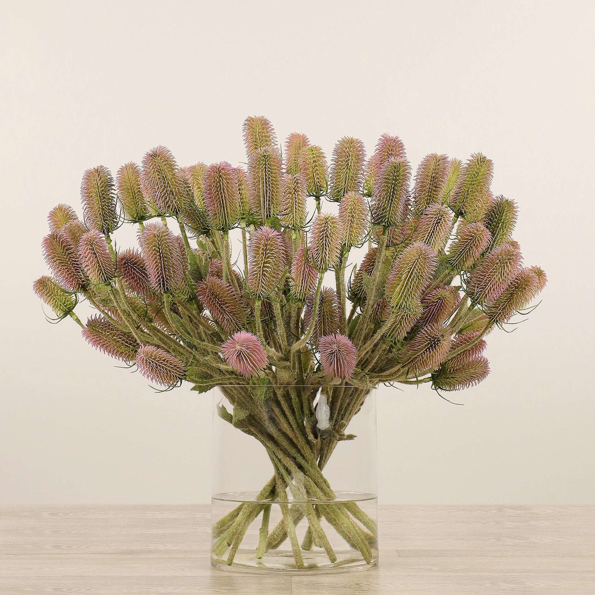 Dipsacus Arrangement in Glass Vase