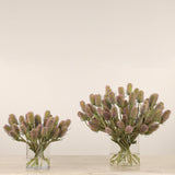 Dipsacus Arrangement in Glass Vase