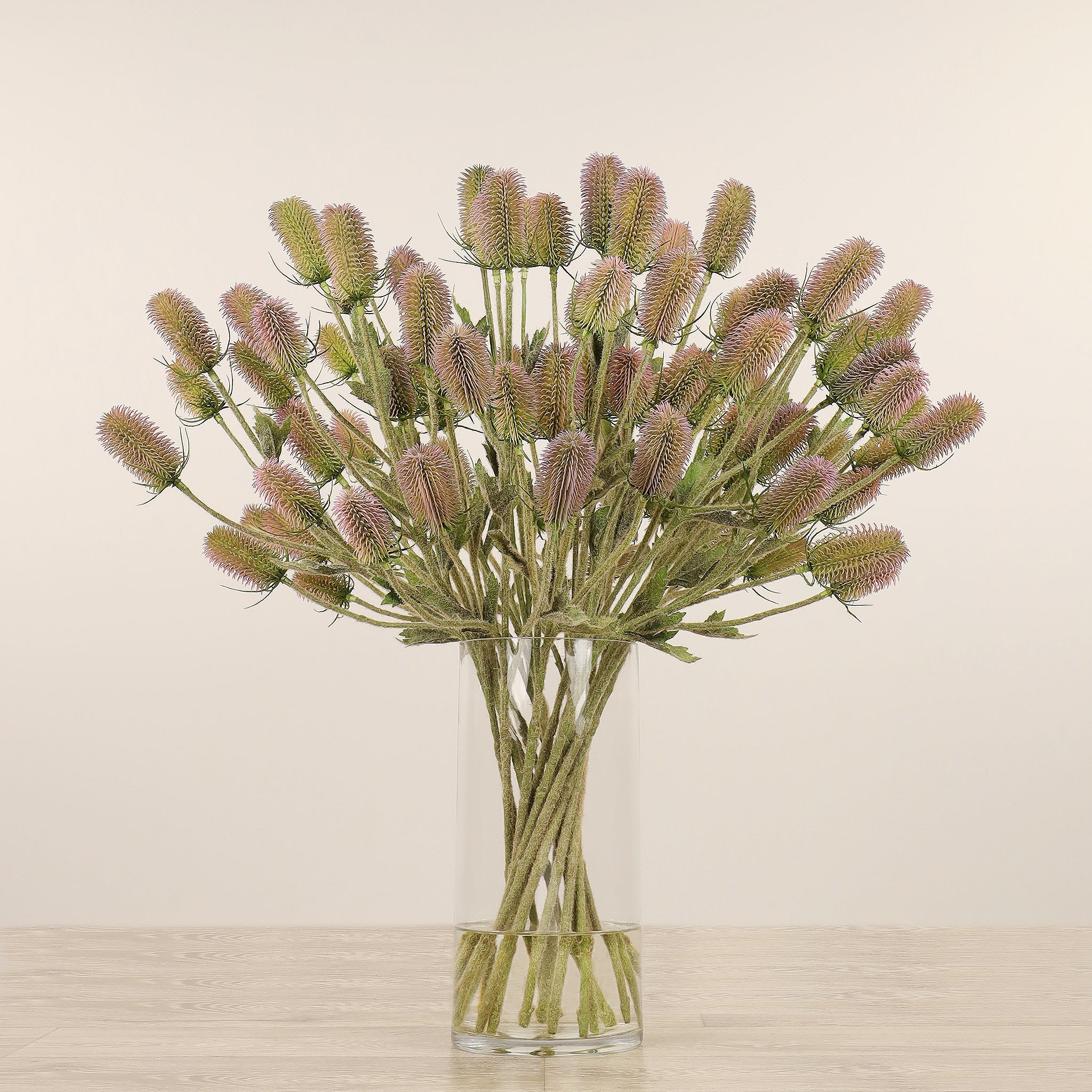 Dipsacus Arrangement in Glass Vase