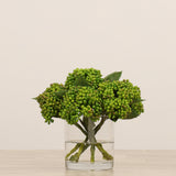 Sedum Arrangement in Glass Vase