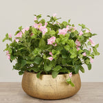 -Artificial Petunia Arrangement-Bloomr