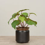 -Artificial Begonia Arrangement-Bloomr