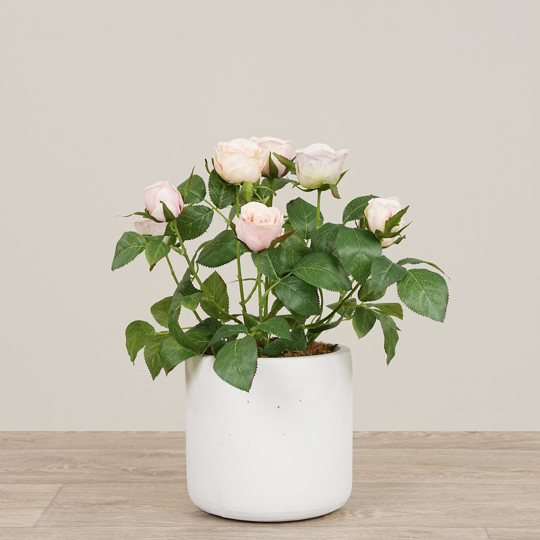 -Artificial Cabbage Rose Plant-Bloomr