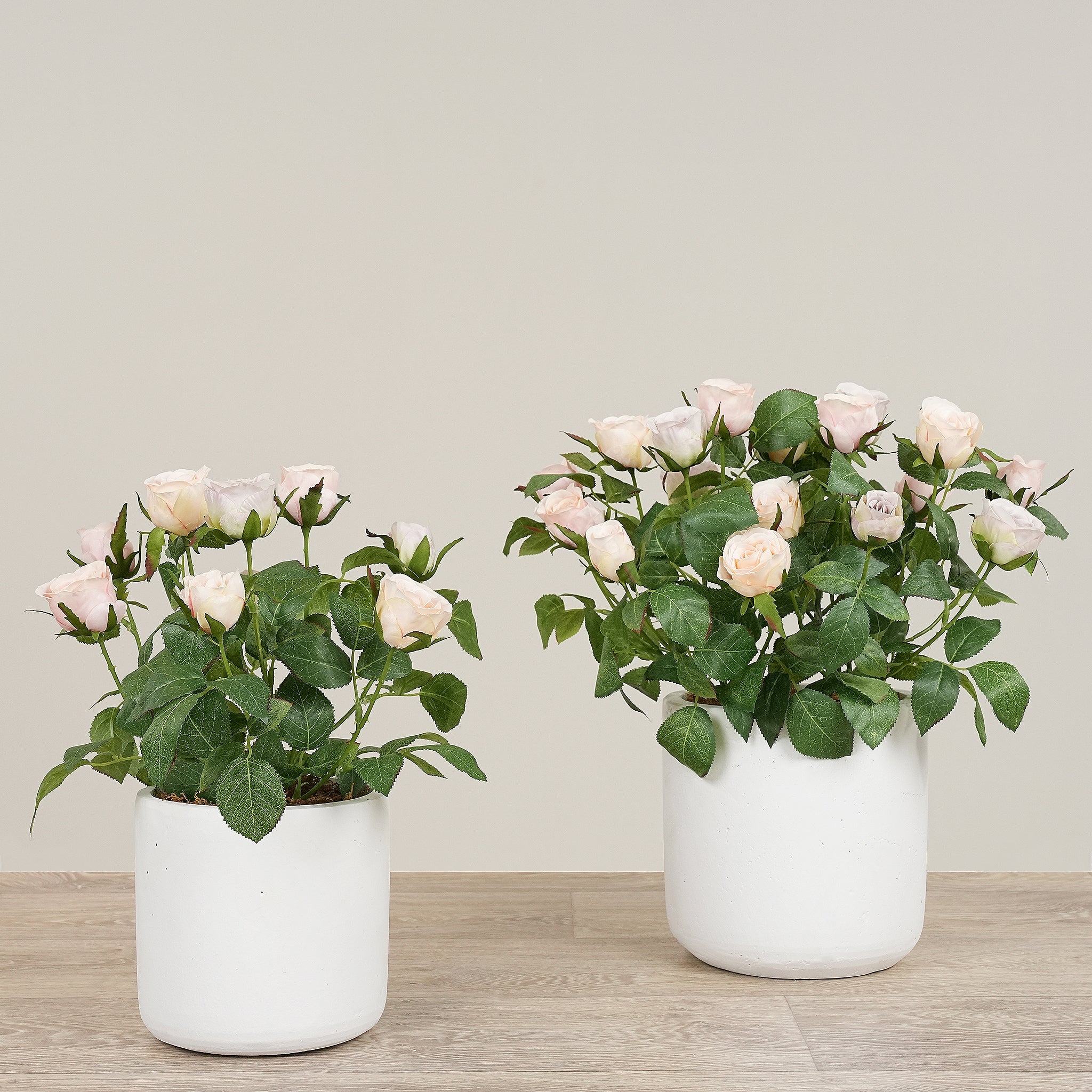 -Artificial Cabbage Rose Plant-Bloomr