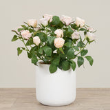 -Artificial Cabbage Rose Plant-Bloomr