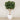 Artificial Fiddle Leaf Tree 300cm