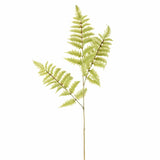 Artificial Fern - Bloomr