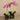 Flowers-Artificial Orchid Arrangement (Discontinued)-Bloomr