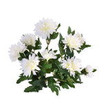 Flowers-Chrysanthemum-Bloomr