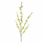 Flowers-Dancing Orchid Stem-Bloomr