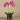 Flowers-Artificial Orchid Arrangement (Discontinued)-Bloomr
