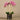 Flowers-Artificial Orchid Arrangement (Discontinued)-Bloomr