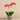Flowers-Orchid Arrangement in Ceramic Vase (Discontinued)-Bloomr