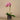 Flowers-Artificial Orchid Arrangement (Discontinued)-Bloomr