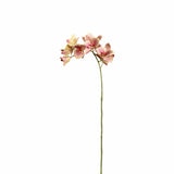 Orchid Stem - Bloomr