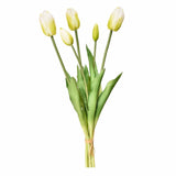 Tulip - Bloomr