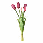 Tulip - Bloomr