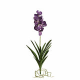 Vanda with Leaves - Bloomr