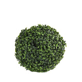 Boxwood Ball - Bloomr