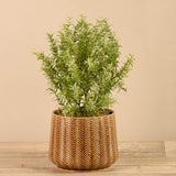 Greenery-Artificial Potted Asparagus Fern-Bloomr