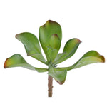 Greenery-Single Stem Succulent-Bloomr