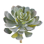 Greenery-Single Stem Succulent-Bloomr