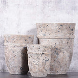 Pots-Round Cement Pot-Bloomr