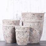 Pots-Round Cement Pot-Bloomr