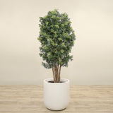 Trees-Artificial Aralia Tree <br> 180cm-Bloomr